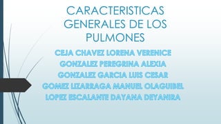 CARACTERISTICAS
GENERALES DE LOS
PULMONES

 