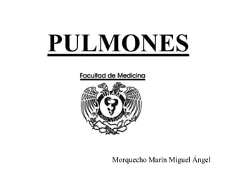 PULMONES
Morquecho Marín Miguel Ángel
 