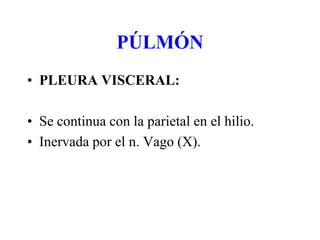 PÚLMÓN
• PLEURA VISCERAL:
• Se continua con la parietal en el hilio.
• Inervada por el n. Vago (X).
 