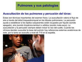 Pulmones y sus patologías
Auscultación de los pulmones y percusión del tórax:
Estas son técnicas importantes del examen físico. La auscultación valora el flujo de
aire a través del árbol traqueobronquial en los lóbulos pulmonares. La percusión
ayuda a establecer si los tejidos subyacentes están ocupados por liquido (sonido
apagado), aire (sonido timpánico-tambor) o sólidos (sonido mate-seco). La
auscultación y la percusión siempre deben incluir la raíz del cuello. Cuando los
clínicos deciden auscultar la base del pulmón hay referencias externas anatómicas de
este, por lo tanto se ausculta a nivel de T10 en la espalda.
 