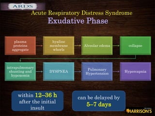 Acute Respiratory Distress Syndrome
Exudative Phase
plasma
proteins
aggregate
hyaline
membrane
whorls
Alveolar edema collapse
intrapulmonary
shunting and
hypoxemia
DYSPNEA
Pulmonary
Hypertension
Hypercapnia
within 12–36 h
after the initial
insult
can be delayed by
5–7 days
 