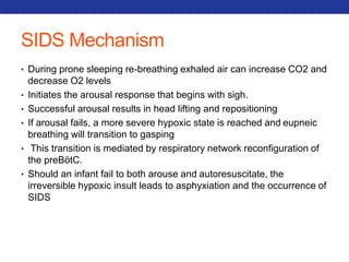 SIDS Mechanism 
• During prone sleeping re-breathing exhaled air can increase CO2 and 
decrease O2 levels 
• Initiates the arousal response that begins with sigh. 
• Successful arousal results in head lifting and repositioning 
• If arousal fails, a more severe hypoxic state is reached and eupneic 
breathing will transition to gasping 
• This transition is mediated by respiratory network reconfiguration of 
the preBötC. 
• Should an infant fail to both arouse and autoresuscitate, the 
irreversible hypoxic insult leads to asphyxiation and the occurrence of 
SIDS 
 