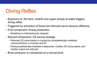 Diving Reflex 
• Exposure of the face, nostrils and upper airway to water triggers 
diving reflex. 
• Triggered by activation of facial and ethmoid nerve sensory afferents. 
• First component: Airway protection. 
• Breathing is instantaneously stopped. 
• Second component: O2 saving strategy. 
• Reduced O2 consumption is caused by sympathetically mediated 
vasoconstriction in muscles and GI. 
• Parasympathetically-mediated bradycardia. Cardiac O2 consumption and 
cardiac output are reduced 
• Brain perfusion is maintained at a normal level 
 