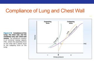 Compliance of Lung and Chest Wall 
 