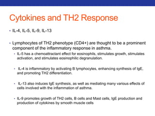 Cytokines and TH2 Response 
• IL-4, IL-5, IL-9, IL-13 
• Lymphocytes of TH2 phenotype (CD4+) are thought to be a prominent 
component of the inflammatory response in asthma. 
• IL-5 has a chemoattractant effect for eosinophils, stimulates growth, stimulates 
activation, and stimulates eosinophilic degranulation. 
• IL-4 is inflammatory by activating B lymphocytes, enhancing synthesis of IgE, 
and promoting TH2 differentiation. 
• IL-13 also induces IgE synthesis, as well as mediating many various effects of 
cells involved with the inflammation of asthma. 
• IL-9 promotes growth of TH2 cells, B cells and Mast cells, IgE production and 
production of cytokines by smooth muscle cells 
 