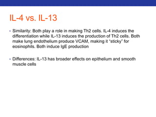IL-4 vs. IL-13 
• Similarity: Both play a role in making Th2 cells. IL-4 induces the 
differentiation while IL-13 induces the production of Th2 cells. Both 
make lung endothelium produce VCAM, making it “sticky” for 
eosinophils. Both induce IgE production 
• Differences: IL-13 has broader effects on epithelium and smooth 
muscle cells 
 