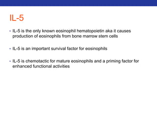IL-5 
• IL-5 is the only known eosinophil hematopoietin aka it causes 
production of eosinophils from bone marrow stem cells 
• IL-5 is an important survival factor for eosinophils 
• IL-5 is chemotactic for mature eosinophils and a priming factor for 
enhanced functional activities 
 