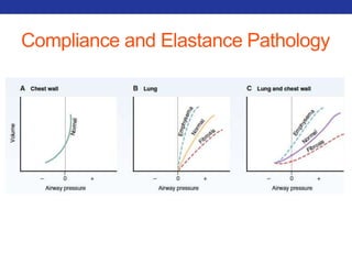 Compliance and Elastance Pathology 
 