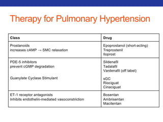 Therapy for Pulmonary Hypertension 
 