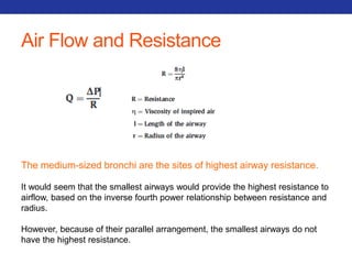 Air Flow and Resistance 
The medium-sized bronchi are the sites of highest airway resistance. 
It would seem that the smallest airways would provide the highest resistance to 
airflow, based on the inverse fourth power relationship between resistance and 
radius. 
However, because of their parallel arrangement, the smallest airways do not 
have the highest resistance. 
 