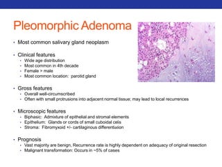 Pleomorphic Adenoma 
• Most common salivary gland neoplasm 
• Clinical features 
• Wide age distribution 
• Most common in 4th decade 
• Female > male 
• Most common location: parotid gland 
• Gross features 
• Overall well-circumscribed 
• Often with small protrusions into adjacent normal tissue; may lead to local recurrences 
• Microscopic features 
• Biphasic: Admixture of epithelial and stromal elements 
• Epithelium: Glands or cords of small cuboidal cells 
• Stroma: Fibromyxoid +/- cartilaginous differentiation 
• Prognosis 
• Vast majority are benign, Recurrence rate is highly dependent on adequacy of original resection 
• Malignant transformation: Occurs in ~5% of cases 
 