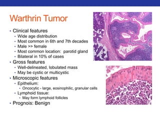 Warthrin Tumor 
• Clinical features 
• Wide age distribution 
• Most common in 6th and 7th decades 
• Male >> female 
• Most common location: parotid gland 
• Bilateral in 10% of cases 
• Gross features 
• Well-delineated, lobulated mass 
• May be cystic or multicystic 
• Microscopic features 
• Epithelium: 
• Oncocytic - large, eosinophilic, granular cells 
• Lymphoid tissue: 
• May form lymphoid follicles 
• Prognois: Benign 
 