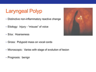 Laryngeal Polyp 
• Distinctive non-inflammatory reactive change 
• Etiology: Injury - “misuse” of voice 
• S/sx: Hoarseness 
• Gross: Polypoid mass on vocal cords 
• Microscopic: Varies with stage of evolution of lesion 
• Prognosis: benign 
 