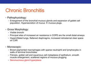 Chronic Bronchitis 
• Pathophysiology: 
• Enlargement of the bronchial mucous glands and expansion of goblet cell 
population. Hypersecretion of mucus  mucous plugs. 
• Gross Morphology: 
• Visible bronchi 
• Principal sites of increased air resistance in COPD are the small distal airways 
• Hyperinflated lungs, flattened diaphragms, increased retrosternal clear space 
on CXR 
• Microscopic: 
• Brown-pigmented macrophages with sparse neutrophil and lymphocytes in 
walls of terminal bronchioles 
• Fibrosis, goblet cell and squamous cell metaplasia of epithelium, smooth 
muscle enlargement, scattered regions of mucous plugging 
• Seromucinous gland hyperplasia 
 