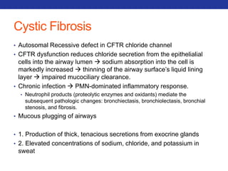 Cystic Fibrosis 
• Autosomal Recessive defect in CFTR chloride channel 
• CFTR dysfunction reduces chloride secretion from the epithelialial 
cells into the airway lumen  sodium absorption into the cell is 
markedly increased  thinning of the airway surface’s liquid lining 
layer  impaired mucociliary clearance. 
• Chronic infection  PMN-dominated inflammatory response. 
• Neutrophil products (proteolytic enzymes and oxidants) mediate the 
subsequent pathologic changes: bronchiectasis, bronchiolectasis, bronchial 
stenosis, and fibrosis. 
• Mucous plugging of airways 
• 1. Production of thick, tenacious secretions from exocrine glands 
• 2. Elevated concentrations of sodium, chloride, and potassium in 
sweat 
 