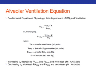 Alveolar Ventilation Equation 
• Fundamental Equation of Physiology: Interdependence of CO2 and Ventilation 
• Increasing VA decreases PACO2 and PaCO2 and increases pH : ALKALOSIS 
• Decreasing VA increases PACO2 and PaCO2 and decreases pH : ACIDOSIS 
 