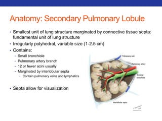 Anatomy: Secondary Pulmonary Lobule 
• Smallest unit of lung structure marginated by connective tissue septa: 
fundamental unit of lung structure 
• Irregularly polyhedral, variable size (1-2.5 cm) 
• Contains: 
• Small bronchiole 
• Pulmonary artery branch 
• 12 or fewer acini usually 
• Marginated by interlobular septa 
• Contain pulmonary veins and lymphatics 
• Septa allow for visualization 
 