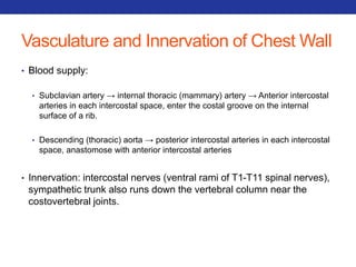 Vasculature and Innervation of Chest Wall 
• Blood supply: 
• Subclavian artery → internal thoracic (mammary) artery → Anterior intercostal 
arteries in each intercostal space, enter the costal groove on the internal 
surface of a rib. 
• Descending (thoracic) aorta → posterior intercostal arteries in each intercostal 
space, anastomose with anterior intercostal arteries 
• Innervation: intercostal nerves (ventral rami of T1-T11 spinal nerves), 
sympathetic trunk also runs down the vertebral column near the 
costovertebral joints. 
 