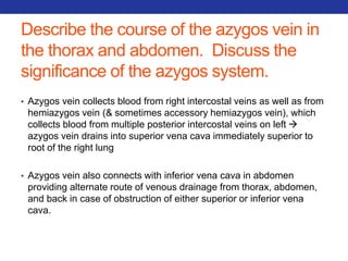 Describe the course of the azygos vein in 
the thorax and abdomen. Discuss the 
significance of the azygos system. 
• Azygos vein collects blood from right intercostal veins as well as from 
hemiazygos vein (& sometimes accessory hemiazygos vein), which 
collects blood from multiple posterior intercostal veins on left  
azygos vein drains into superior vena cava immediately superior to 
root of the right lung 
• Azygos vein also connects with inferior vena cava in abdomen 
providing alternate route of venous drainage from thorax, abdomen, 
and back in case of obstruction of either superior or inferior vena 
cava. 
 