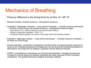 Mechanics of Breathing 
• Pressure difference is the driving force for air flow, Q = ΔP / R 
• Between breaths, alveolar pressure = atmospheric pressure 
• Inspiration: Diaphragm contracts → lung volume increases → alveolar pressure decreases 
→ air flows into the lungs until alveolar pressure = atmospheric pressure again 
• Tidal volume (VT) = volume inspired in one normal breath (500mL) 
• Volume in lungs after inspiration = FRC + VT 
• Functional residual capacity: the volume in the lungs at the end-expiratory position 
• Expiration: diaphragm relaxes → lung volume decreases → alveolar pressure increases → 
air flows out of the lungs 
• Forced expiration: contraction of expiratory muscles further increases alveolar pressure to 
force air out. Intrapleural pressure increases too, but as long as the transmural pressure is 
still positive, the lungs will not collapse. Expiration will be rapid and forceful. 
• COPD: Lung elasticity is decreased, so during forced expiration, intrapleural pressures 
increase to normal values but alveolar pressures are lower because of their increased 
compliance. The gradient becomes negative & airways collapse. 
 