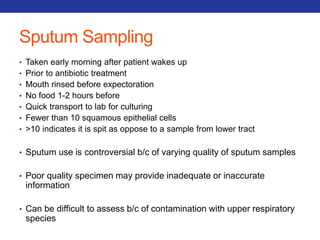 Sputum Sampling 
• Taken early morning after patient wakes up 
• Prior to antibiotic treatment 
• Mouth rinsed before expectoration 
• No food 1-2 hours before 
• Quick transport to lab for culturing 
• Fewer than 10 squamous epithelial cells 
• >10 indicates it is spit as oppose to a sample from lower tract 
• Sputum use is controversial b/c of varying quality of sputum samples 
• Poor quality specimen may provide inadequate or inaccurate 
information 
• Can be difficult to assess b/c of contamination with upper respiratory 
species 
 