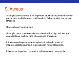 S. Aureus 
• Staphylococcus aureus is an important cause of secondary bacterial 
pneumonia in children and healthy adults following viral respiratory 
illnesses 
• Causes bronchopneumonia 
• Staphylococcal pneumonia is associated with a high incidence of 
complications, such as lung abscess and empyema. 
• Intravenous drug users are at high risk for development of 
staphylococcal pneumonia in association with endocarditis. 
• It is also an important cause of hospital-acquired pneumonia. 
 