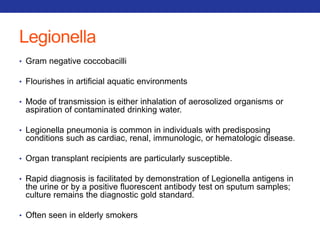 Legionella 
• Gram negative coccobacilli 
• Flourishes in artificial aquatic environments 
• Mode of transmission is either inhalation of aerosolized organisms or 
aspiration of contaminated drinking water. 
• Legionella pneumonia is common in individuals with predisposing 
conditions such as cardiac, renal, immunologic, or hematologic disease. 
• Organ transplant recipients are particularly susceptible. 
• Rapid diagnosis is facilitated by demonstration of Legionella antigens in 
the urine or by a positive fluorescent antibody test on sputum samples; 
culture remains the diagnostic gold standard. 
• Often seen in elderly smokers 
 