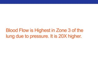 Blood Flow is Highest in Zone 3 of the 
lung due to pressure. It is 20X higher. 
 