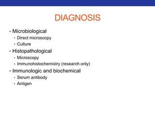 DIAGNOSIS 
• Microbiological 
• Direct microscopy 
• Culture 
• Histopathological 
• Microscopy 
• Immunohistochemistry (research only) 
• Immunologic and biochemical 
• Serum antibody 
• Antigen 
 