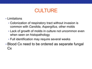 CULTURE 
• Limitations 
• Colonization of respiratory tract without invasion is 
common with Candida, Aspergillus, other molds 
• Lack of growth of molds in culture not uncommon even 
when seen on histopathology 
• Full identification may require several weeks 
• Blood Cx need to be ordered as separate fungal 
Cx 
 