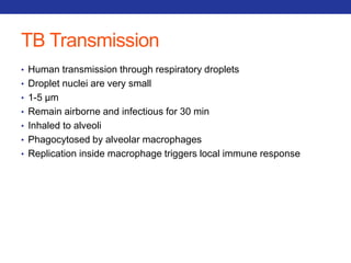 TB Transmission 
• Human transmission through respiratory droplets 
• Droplet nuclei are very small 
• 1-5 μm 
• Remain airborne and infectious for 30 min 
• Inhaled to alveoli 
• Phagocytosed by alveolar macrophages 
• Replication inside macrophage triggers local immune response 
 