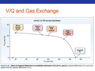 V/Q and Gas Exchange 
 
