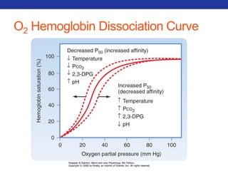O2 Hemoglobin Dissociation Curve 
 