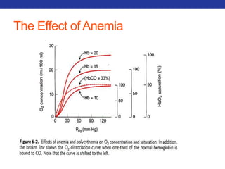 The Effect of Anemia 
 