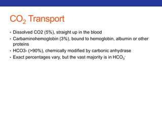 CO2 Transport 
• Dissolved CO2 (5%), straight up in the blood 
• Carbaminohemoglobin (3%), bound to hemoglobin, albumin or other 
proteins 
• HCO3- (>90%), chemically modified by carbonic anhydrase 
• Exact percentages vary, but the vast majority is in HCO- 
3 
 