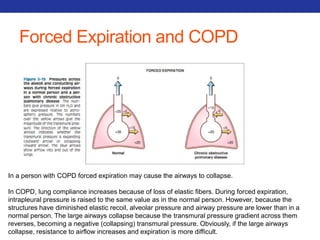 Forced Expiration and COPD 
In a person with COPD forced expiration may cause the airways to collapse. 
In COPD, lung compliance increases because of loss of elastic fibers. During forced expiration, 
intrapleural pressure is raised to the same value as in the normal person. However, because the 
structures have diminished elastic recoil, alveolar pressure and airway pressure are lower than in a 
normal person. The large airways collapse because the transmural pressure gradient across them 
reverses, becoming a negative (collapsing) transmural pressure. Obviously, if the large airways 
collapse, resistance to airflow increases and expiration is more difficult. 
 