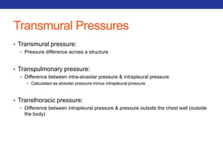 Transmural Pressures 
• Transmural pressure: 
• Pressure difference across a structure 
• Transpulmonary pressure: 
• Difference between intra-alveolar pressure & intrapleural pressure 
• Calculated as alveolar pressure minus intrapleural pressure 
• Transthoracic pressure: 
• Difference between intrapleural pressure & pressure outside the chest wall (outside 
the body) 
 