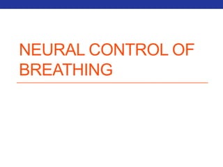 NEURAL CONTROL OF 
BREATHING 
 