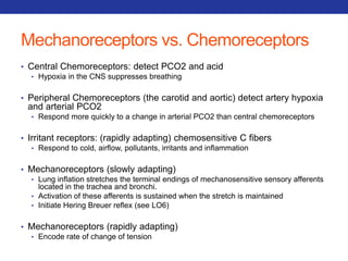 Mechanoreceptors vs. Chemoreceptors 
• Central Chemoreceptors: detect PCO2 and acid 
• Hypoxia in the CNS suppresses breathing 
• Peripheral Chemoreceptors (the carotid and aortic) detect artery hypoxia 
and arterial PCO2 
• Respond more quickly to a change in arterial PCO2 than central chemoreceptors 
• Irritant receptors: (rapidly adapting) chemosensitive C fibers 
• Respond to cold, airflow, pollutants, irritants and inflammation 
• Mechanoreceptors (slowly adapting) 
• Lung inflation stretches the terminal endings of mechanosensitive sensory afferents 
located in the trachea and bronchi. 
• Activation of these afferents is sustained when the stretch is maintained 
• Initiate Hering Breuer reflex (see LO6) 
• Mechanoreceptors (rapidly adapting) 
• Encode rate of change of tension 
 