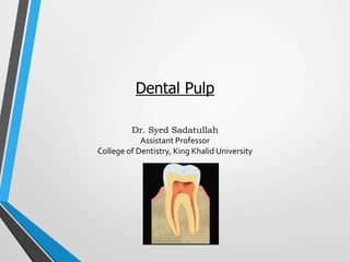 Dental Pulp
Dr. Syed Sadatullah
Assistant Professor
College of Dentistry, King Khalid University
 