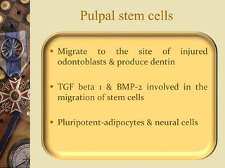 Pulpal stem cells
 Migrate to the site of injured
odontoblasts & produce dentin
 TGF beta 1 & BMP-2 involved in the
migration of stem cells
 Pluripotent-adipocytes & neural cells
 