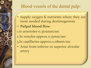 Blood vessels of the dental pulp:
 Supply oxygen & nutrients where they are
most needed during dentinogenesis
 Pulpal blood flow-
1.in arterioles-0.3to1mm/sec
2.In venules-approx.0.15mm/sec
3.In capillaries-approx.0.08mm/sec
 Arise from inferior or superior alveolar
artery
 