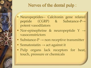 Nerves of the dental pulp :
 Neuropeptides-- Calcitonin gene related
peptide (CGRP) & Substance-P→
potent vasodilators
 Nor-epinephrine & neuropeptide Y →
vasoconstrictors
 Substance-P → non receptive transmitter
 Somatostatin → act against it
 Pulp organs lack receptors for heat,
touch, pressure or chemicals
 