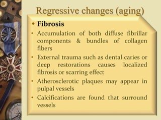 Regressive changes (aging)
 Fibrosis
• Accumulation of both diffuse fibrillar
components & bundles of collagen
fibers
• External trauma such as dental caries or
deep restorations causes localized
fibrosis or scarring effect
• Atherosclerotic plaques may appear in
pulpal vessels
• Calcifications are found that surround
vessels
 