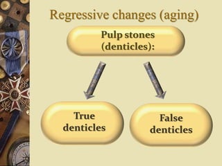 Regressive changes (aging)
Pulp stones
(denticles):
True
denticles
False
denticles
 