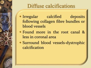 Diffuse calcifications
 Irregular calcified deposits
following collagen fibre bundles or
blood vessels
 Found more in the root canal &
less in coronal area
 Surround blood vessels-dystrophic
calcification
 