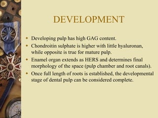 DEVELOPMENT
 Developing pulp has high GAG content.
 Chondroitin sulphate is higher with little hyaluronan,
while opposite is true for mature pulp.
 Enamel organ extends as HERS and determines final
morphology of the space (pulp chamber and root canals).
 Once full length of roots is established, the developmental
stage of dental pulp can be considered complete.
 