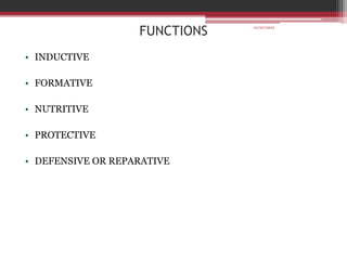 FUNCTIONS
• INDUCTIVE
• FORMATIVE
• NUTRITIVE
• PROTECTIVE
• DEFENSIVE OR REPARATIVE
10/20/2022
 