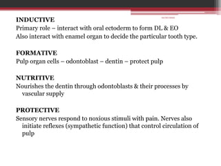 INDUCTIVE
Primary role – interact with oral ectoderm to form DL & EO
Also interact with enamel organ to decide the particular tooth type.
FORMATIVE
Pulp organ cells – odontoblast – dentin – protect pulp
NUTRITIVE
Nourishes the dentin through odontoblasts & their processes by
vascular supply
PROTECTIVE
Sensory nerves respond to noxious stimuli with pain. Nerves also
initiate reflexes (sympathetic function) that control circulation of
pulp
10/20/2022
 