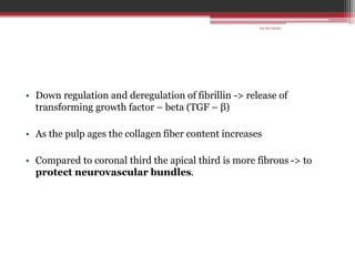 • Down regulation and deregulation of fibrillin -> release of
transforming growth factor – beta (TGF – β)
• As the pulp ages the collagen fiber content increases
• Compared to coronal third the apical third is more fibrous -> to
protect neurovascular bundles.
10/20/2022
 